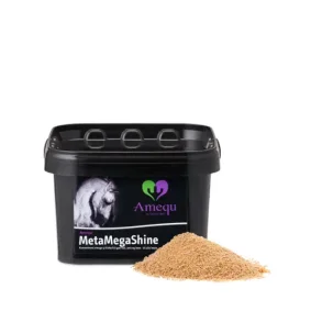 Amequ MetaMegaShine