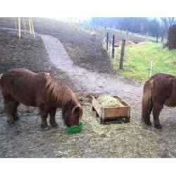 TDJ Heavymats NUL Huller - Enkeltvis