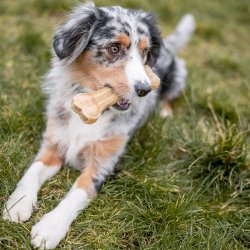 Nobby Tyggeben - 21,5cm